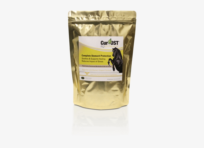 Cur-ost Eq Stomach - Kitten, transparent png #9455167