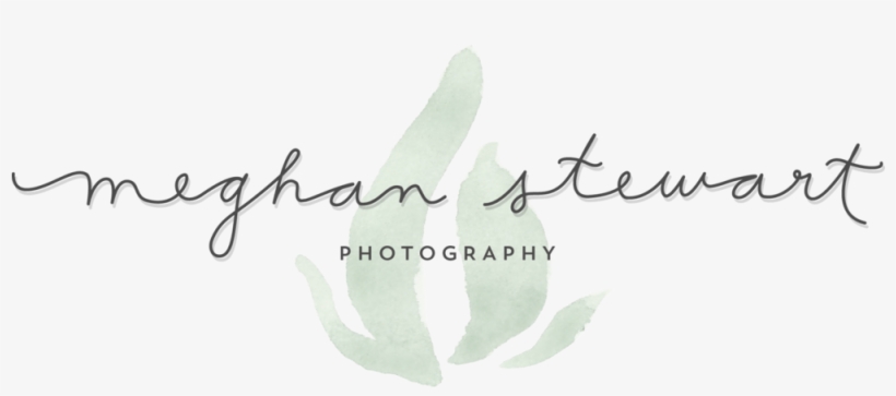Meghan Stewart Photography - Calligraphy, transparent png #9455979