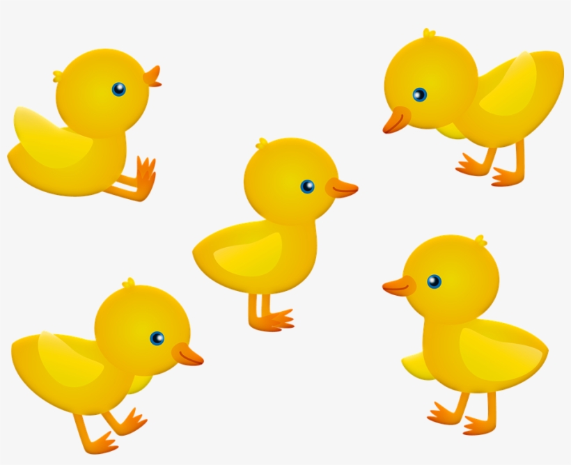 Baby Chick Png - Pintinhos Png, transparent png #9456498