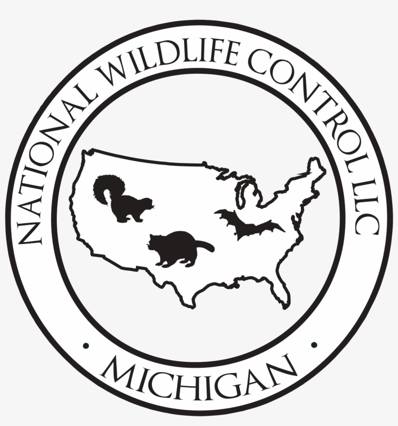 Groundhog Removal - Cia Clandestine Operations Logo, transparent png #9457093
