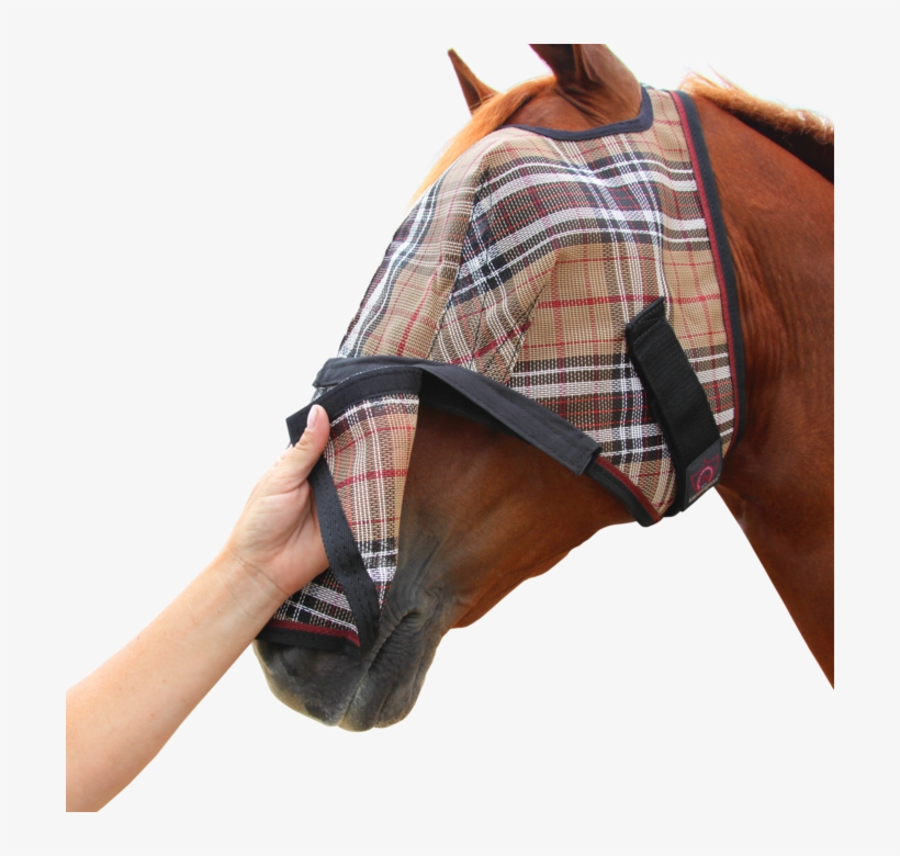 Fly Mask With Removable Nose - Tartan, transparent png #9458824