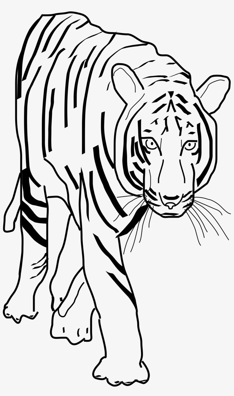 This Free Icons Png Design Of Tiger 2, transparent png #9459307