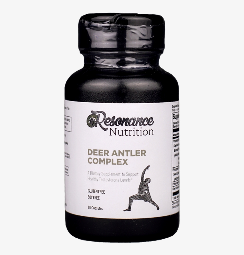 Deer Antler Complex - Stallion, transparent png #9459822