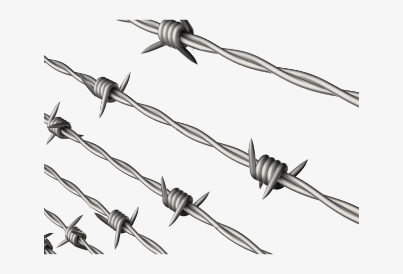 Barb Wire Chains Png, transparent png #9460231