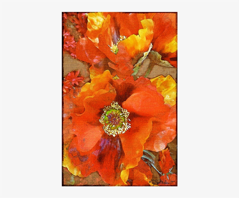 Orange Burst Floral Canvas - Tagetes Patula, transparent png #9461450