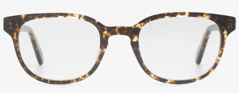 Close-up, transparent png #9461503