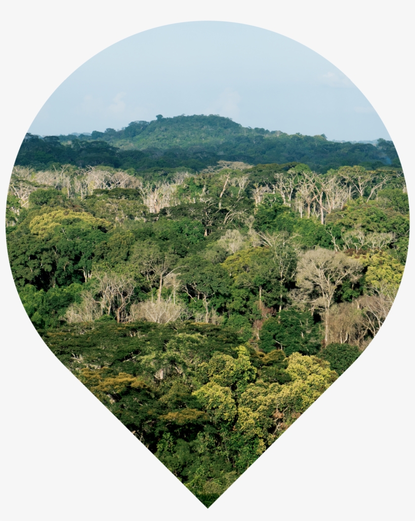 Wider Taï Forest Area, Côte D'ivoire - Hill, transparent png #9461621