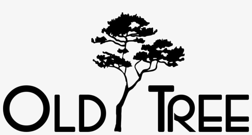 Old Tree Png, transparent png #9462030