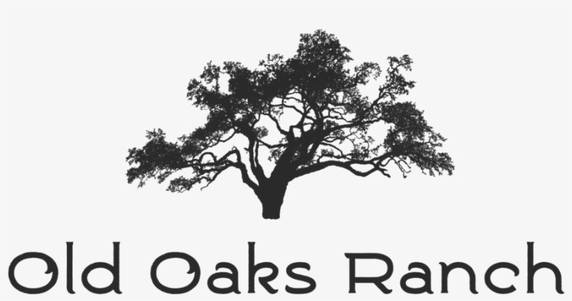 Old Oaks Ranch Fb-8 Format=1500w, transparent png #9462109