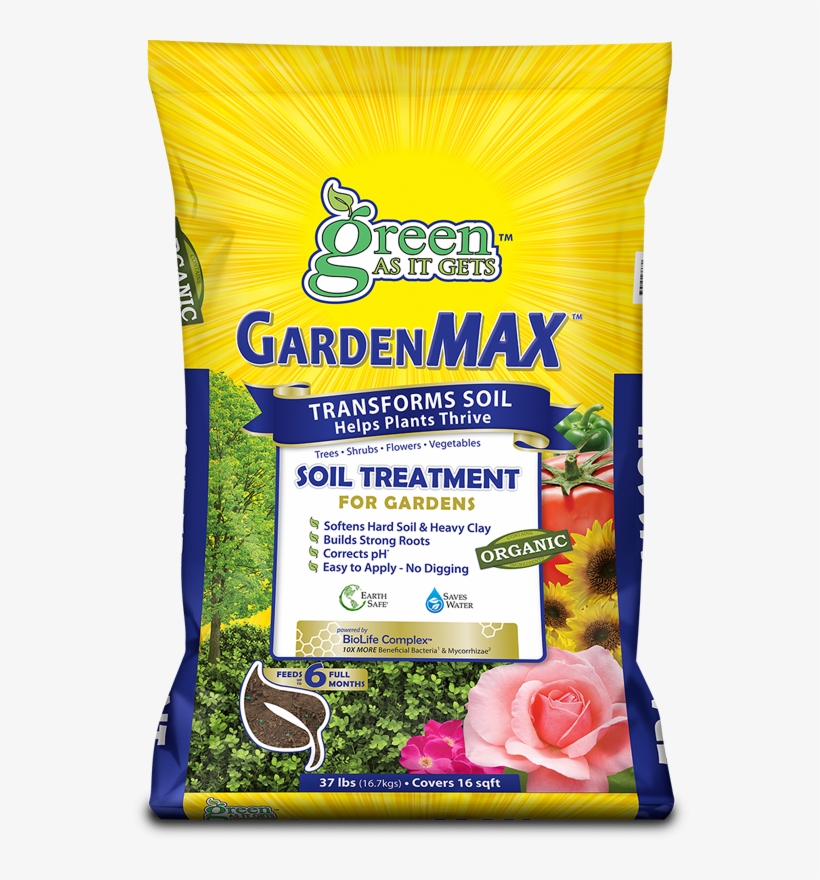 Flower, transparent png #9463218