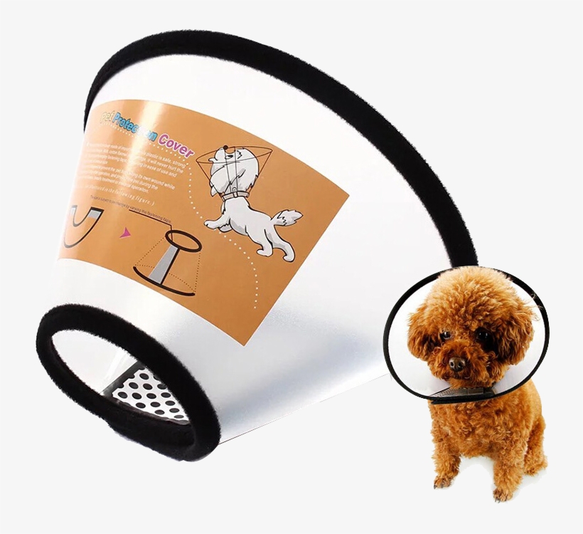 Sen Fang Elizabeth Circle Dog Collar Dog Head Set Cat - Vòng Chống Liếm Chó Mèo, transparent png #9463575