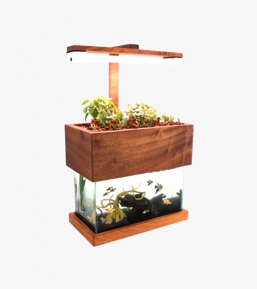 Herb Garden - Houseplant, transparent png #9463941