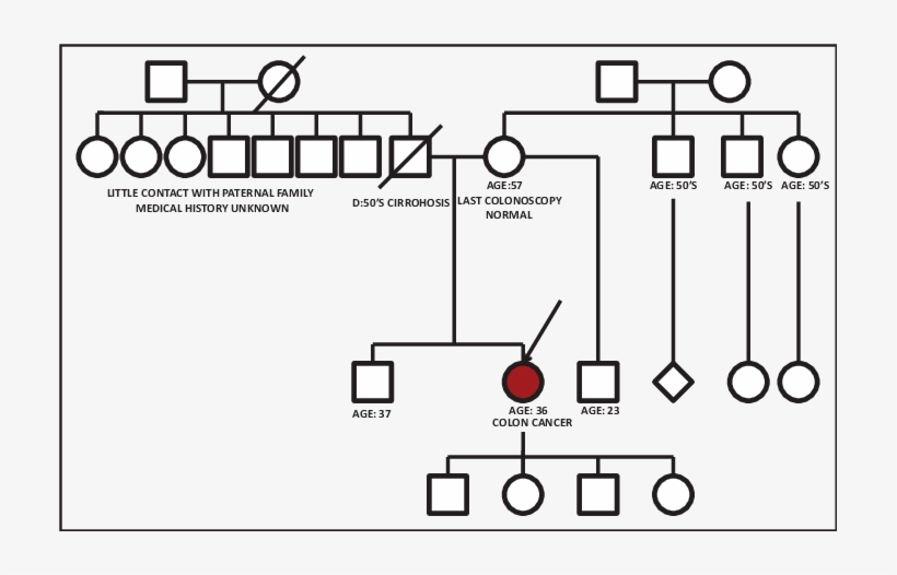 The Red Circle Depicts The Patient Who Developed Colorectal - Diagram, transparent png #9464531