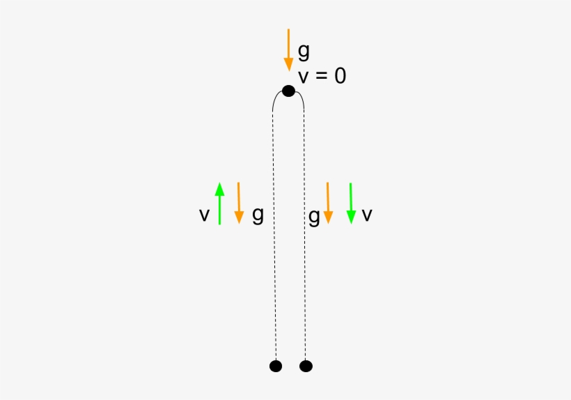 Direction Of Velocity And Acceleration For A Ball Thrown - Diagram, transparent png #9465162