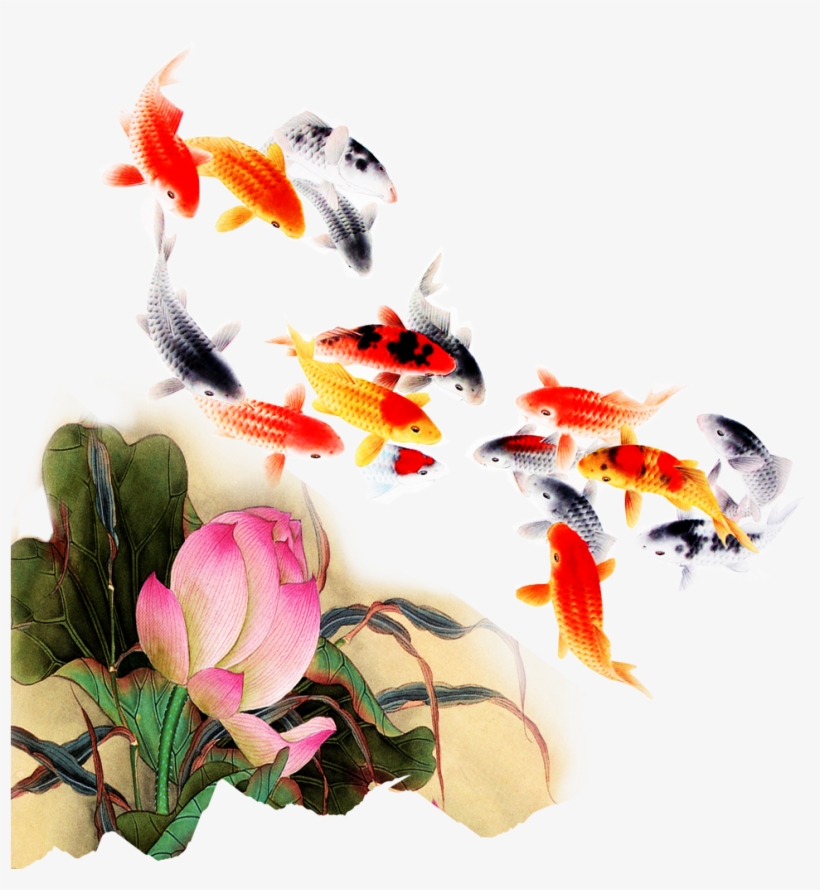 Computer File Kam Transprent Png Petal Organism - Jumping Koi Fish Png, transparent png #9465196