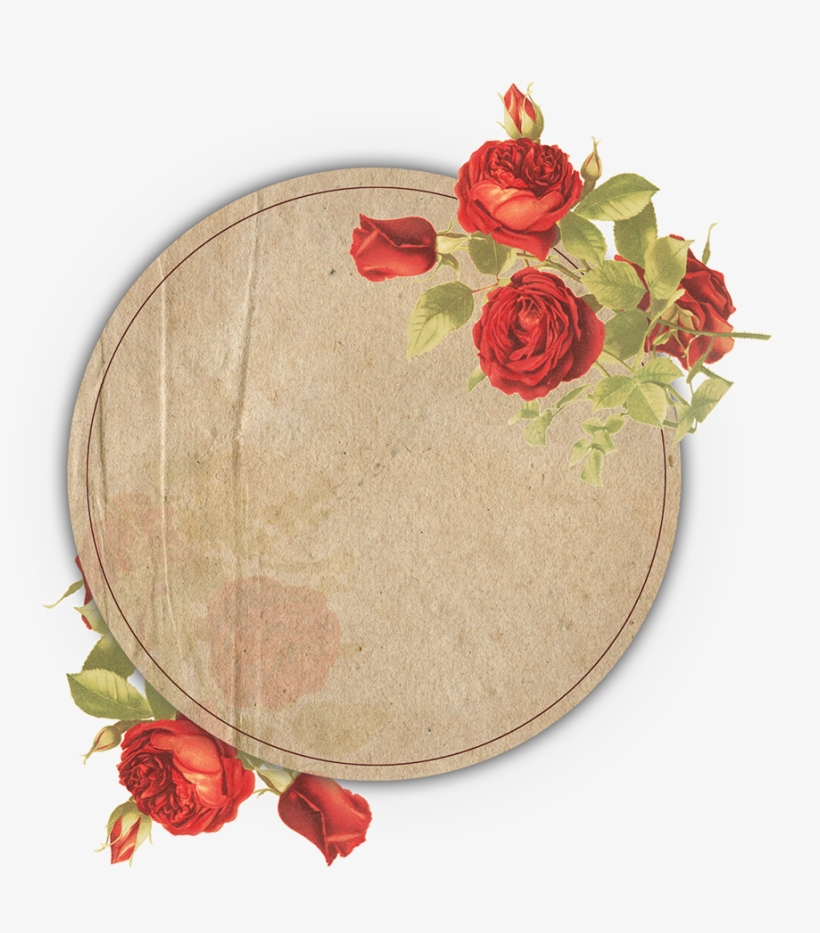Download - Garden Roses, transparent png #9465729