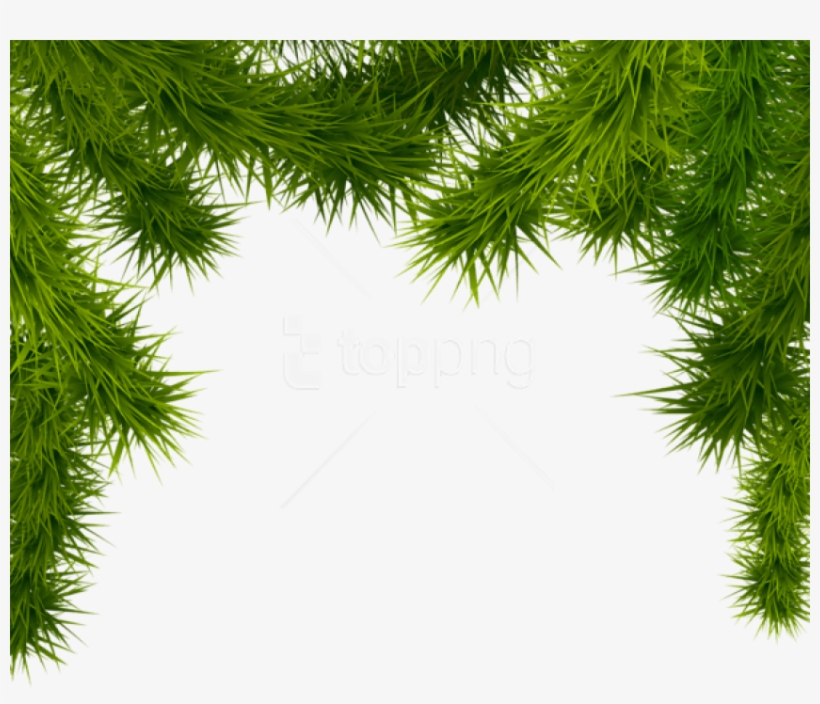 Free Png Pine Branches Png - Christmas Tree Branches Png, transparent png #9466832