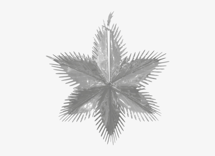 Christmas Metallic Foil Starburst 60cm - Pond Pine, transparent png #9467773