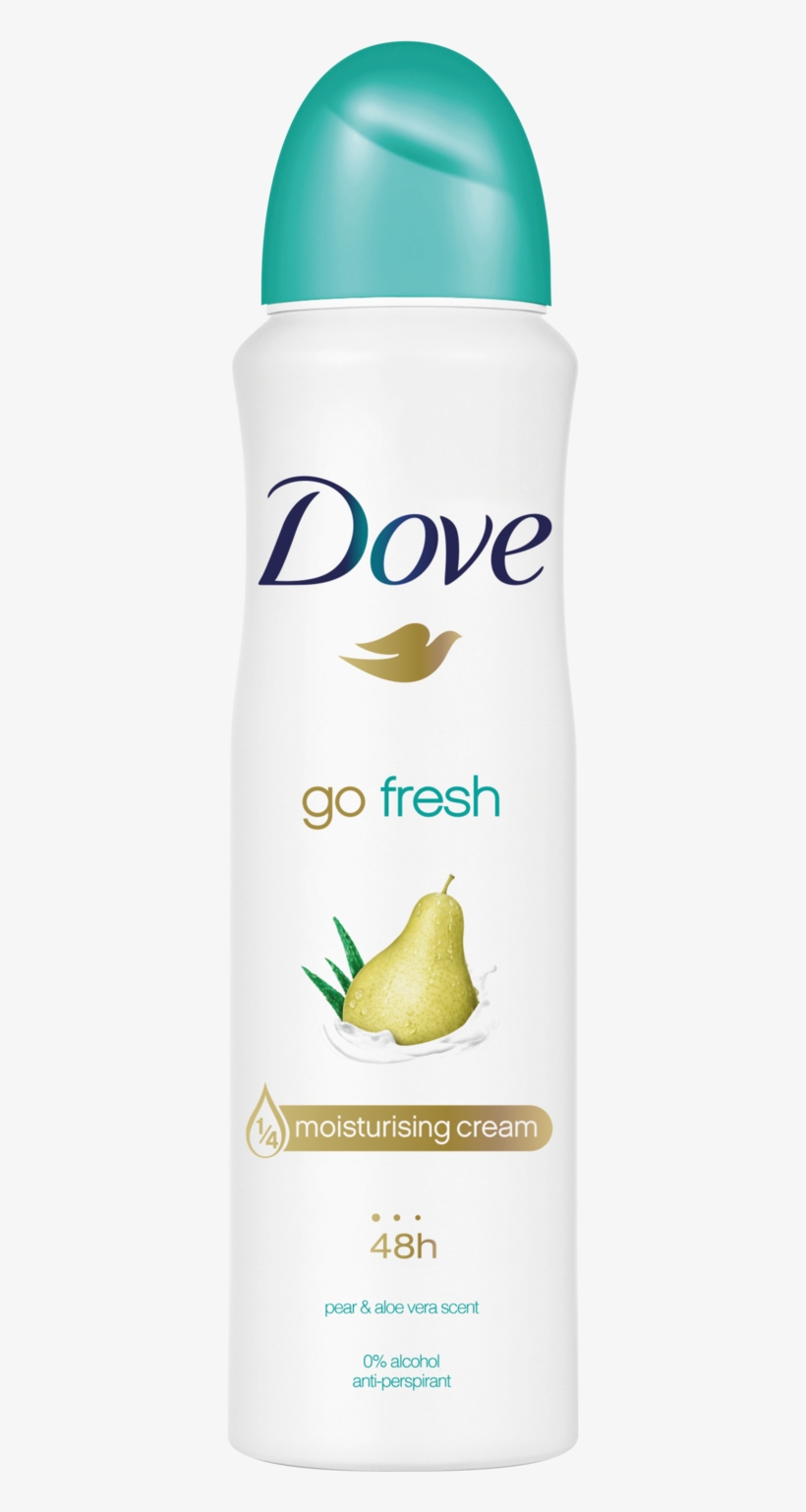 Dove, transparent png #9468057