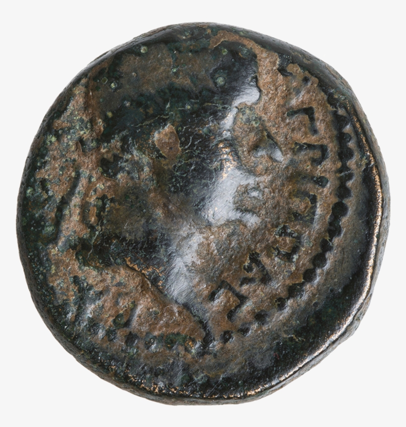 Bust Of Agrippa I - Coin, transparent png #9468883