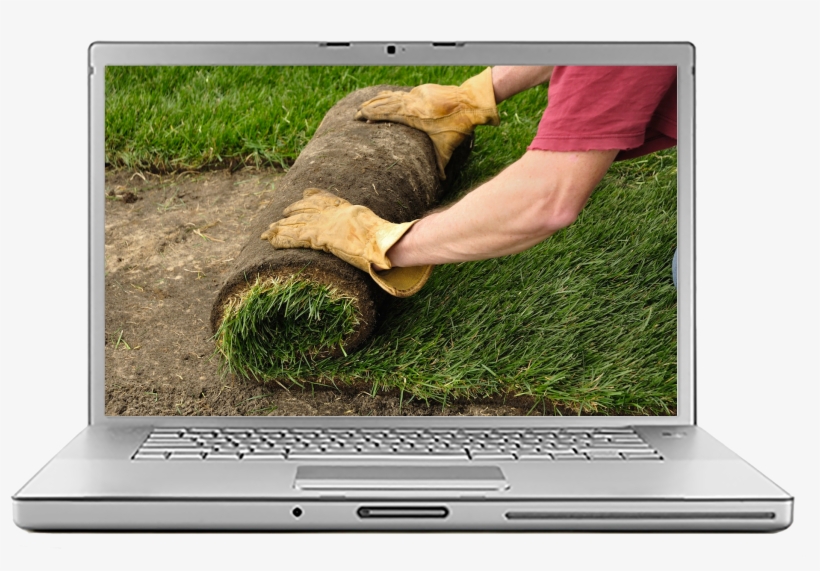 Free Estimates - Sod Lawn, transparent png #9469119