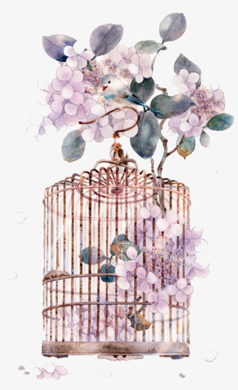 #ftestickers #watercolor #bird #birdcage #flowers - Watercolor Cage Png, transparent png #9469351