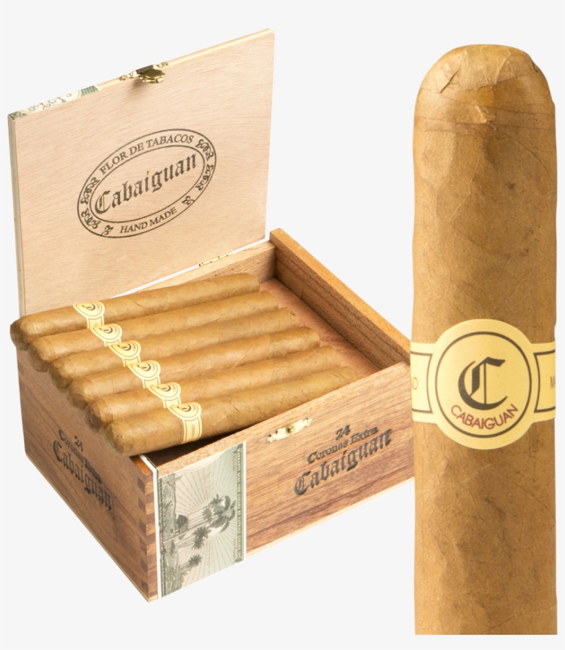 Bratwurst, transparent png #9469514