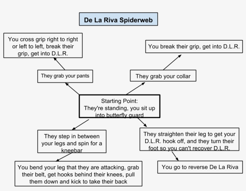 Here's Part Of The Spider Web That We Worked On Today - Diagram, transparent png #9470720