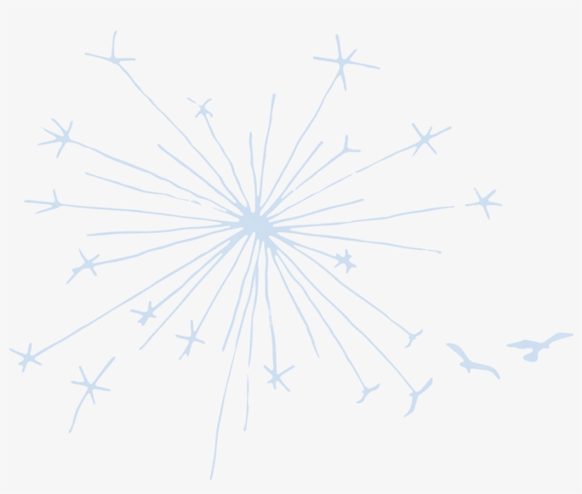 Diagram - Free Transparent PNG Download - PNGkey