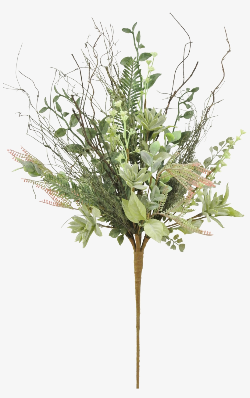 Pond Pine, transparent png #9474238