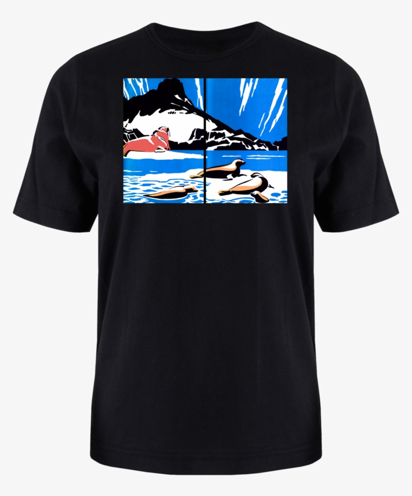 Walrus Seals, transparent png #9474407
