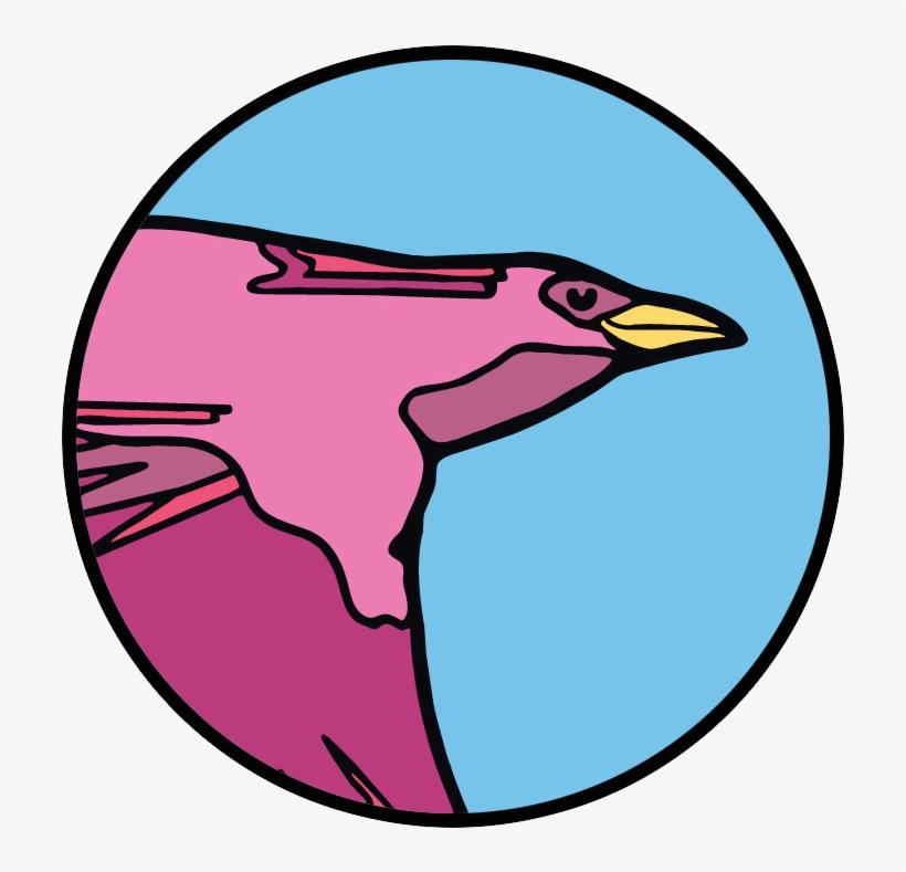 Follow Blackbird On Twitter - Blackbird Ventures, transparent png #9475270