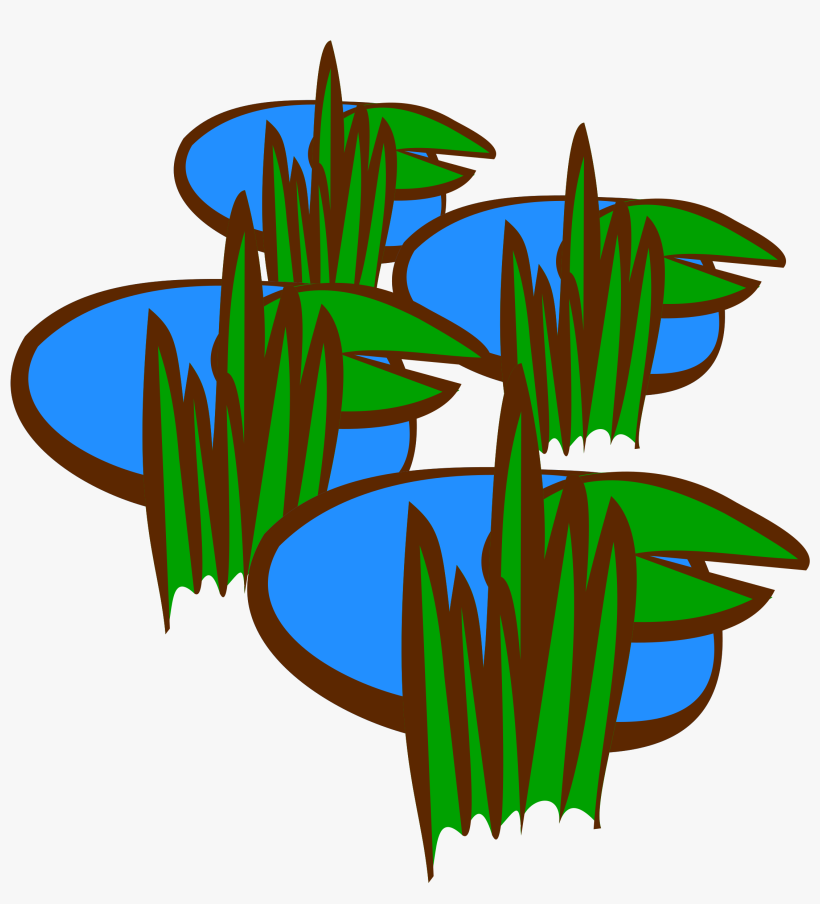 Small Pond Plants Clipart Free Transparent PNG Download PNGkey