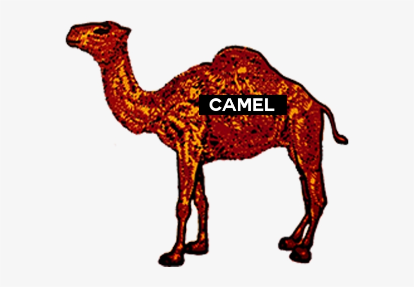 Logos With A Camel, transparent png #9479006
