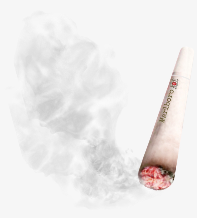 Sketch, transparent png #9479199