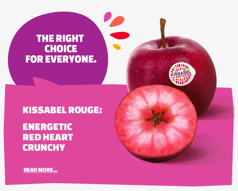 A True Story Written By Nature - Apple, transparent png #9479869