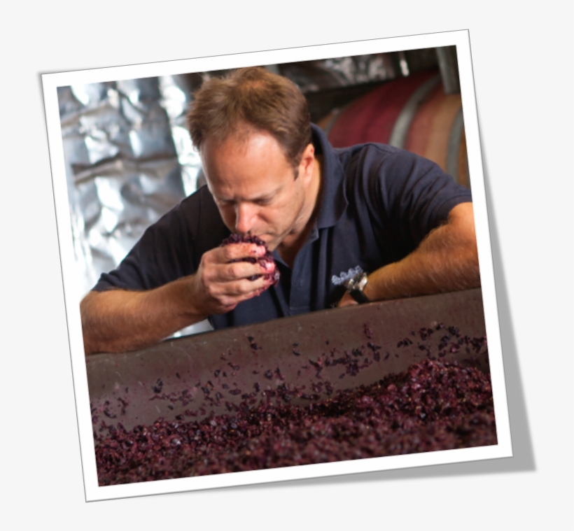 Manager Of Winemaking And Viticulture, Steve James - Picture Frame, transparent png #9484715