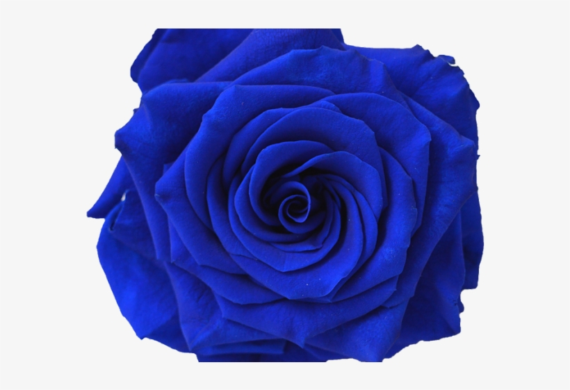 Blue Rose Clipart Navy Blue - Navy Blue Flower Png, transparent png #9484938