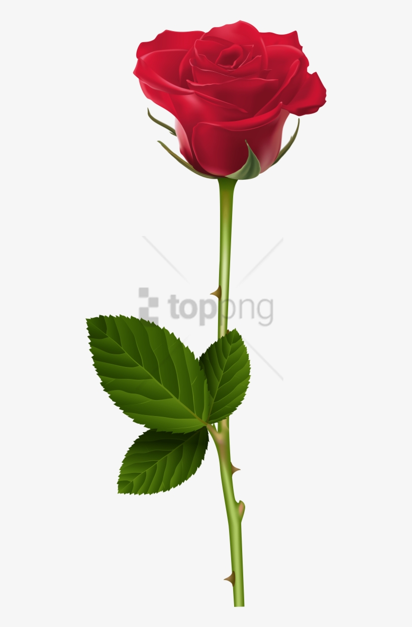 Free Png Rose Transparent Png Image With Transparent - Transparent Rose Png, transparent png #9484991
