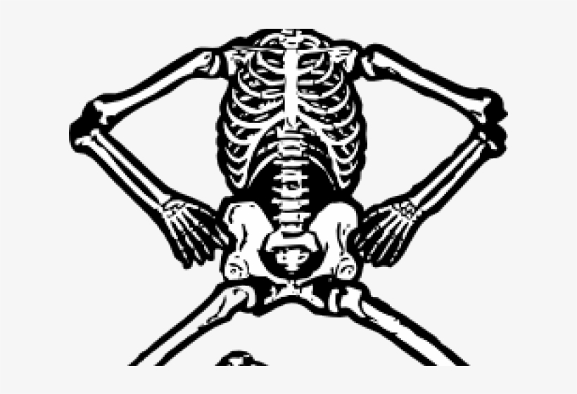 Free On Dumielauxepices Net Black And White - Skeletal System 5th Grade, transparent png #9485707