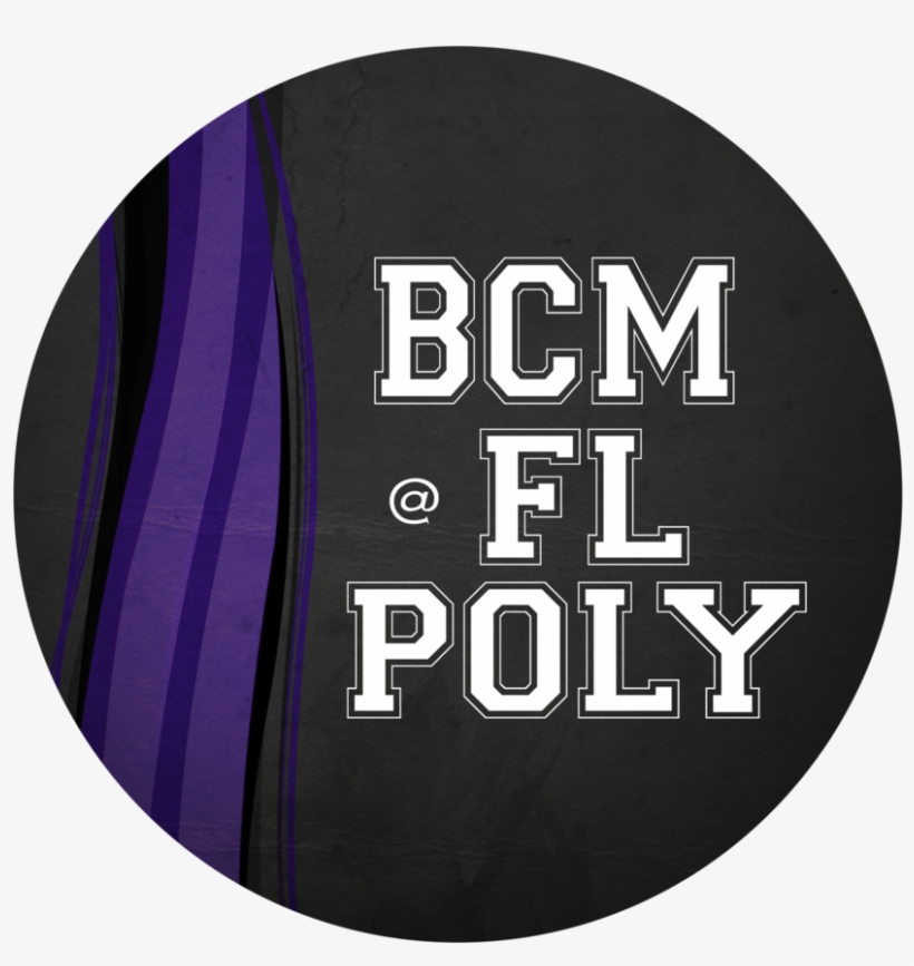 Bcmflpoly - Circle, transparent png #9487428