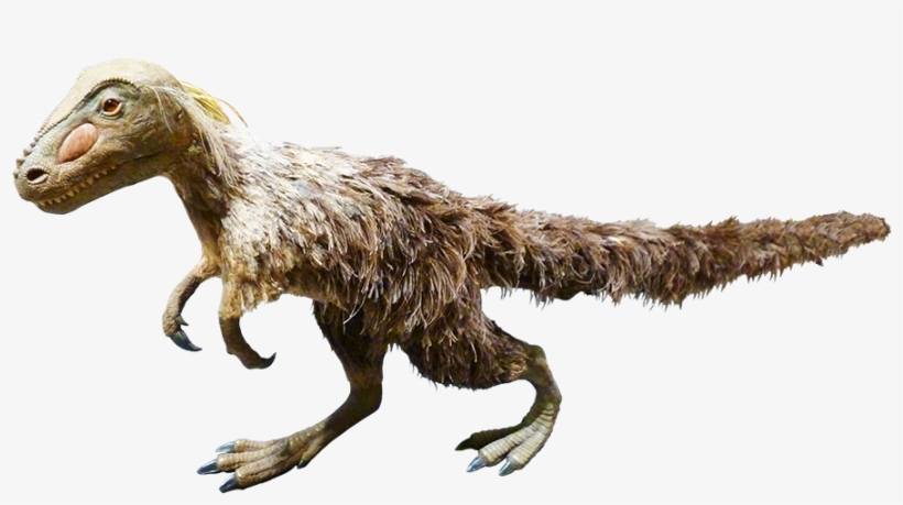 Feathered Dinosaur Clipart - Velociraptor, transparent png #9487570