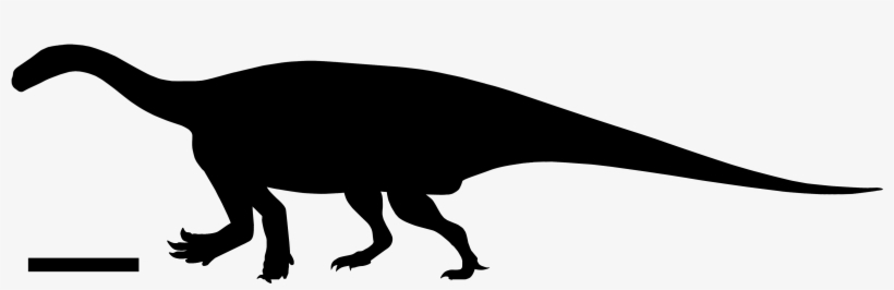 Antetonitrus Silhouette, transparent png #9487658
