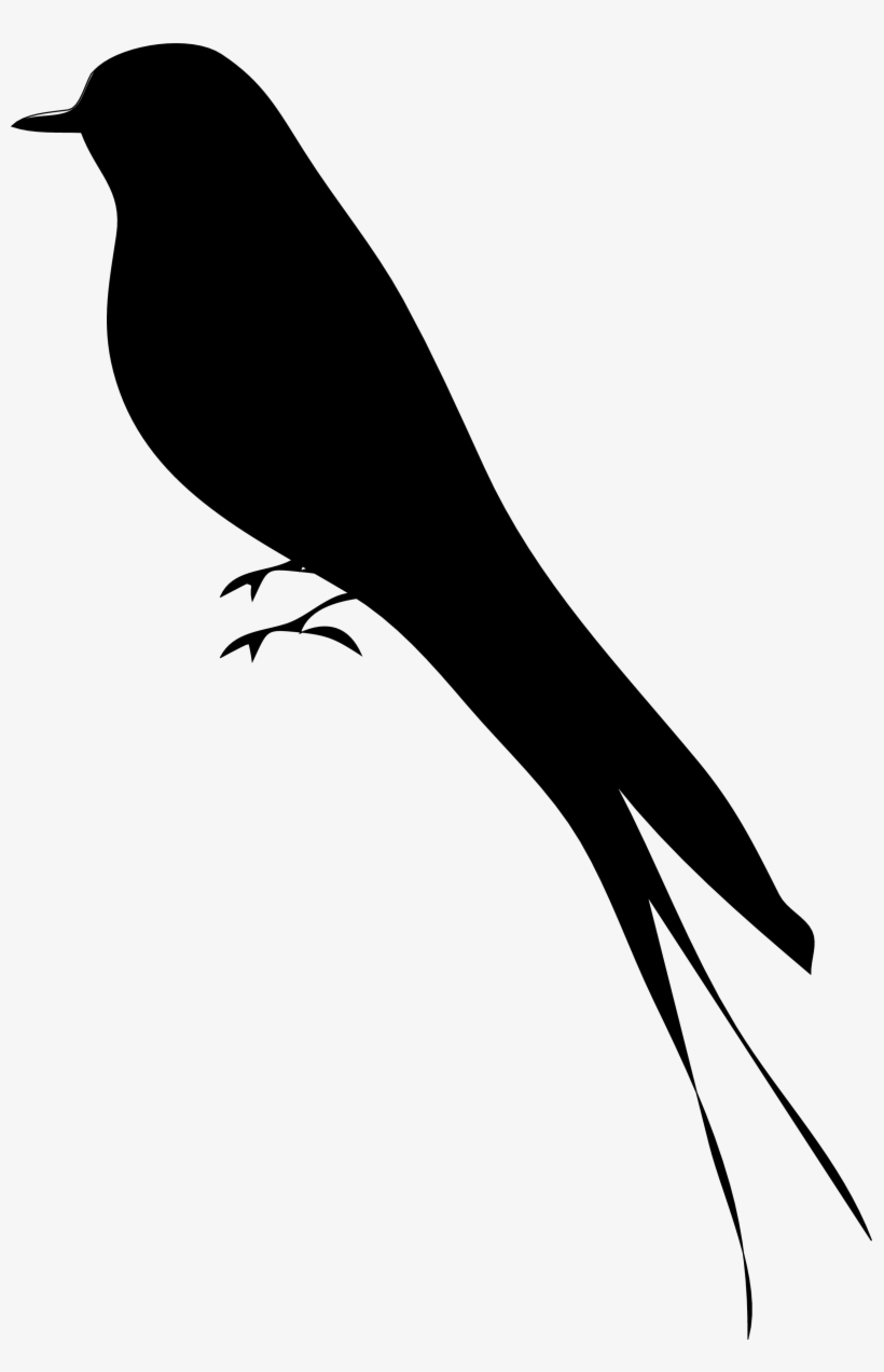 Image Freeuse Library Pin By Allarebeko On Pinterest - Mockingbird Silhouette, transparent png #9487740