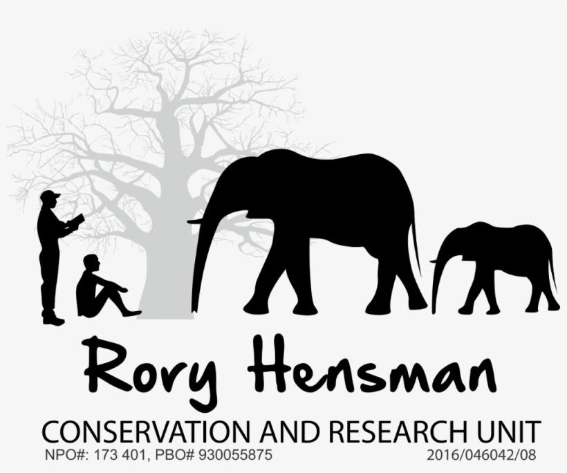 1000 X 786 2 - Indian Elephant, transparent png #9487907