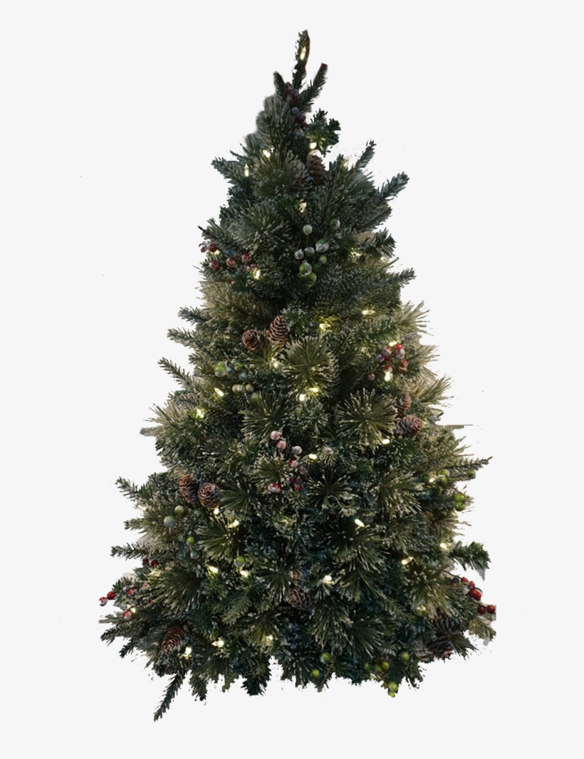 Christmas Tree - Spruce Christmas Tree, transparent png #9489031