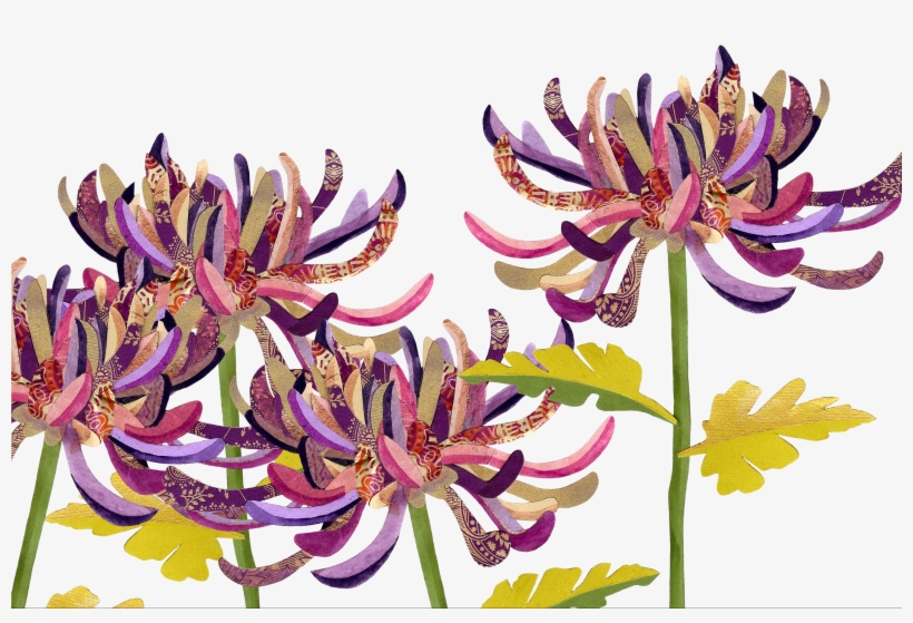 The Language Of Flowers - Chrysanths, transparent png #9489661