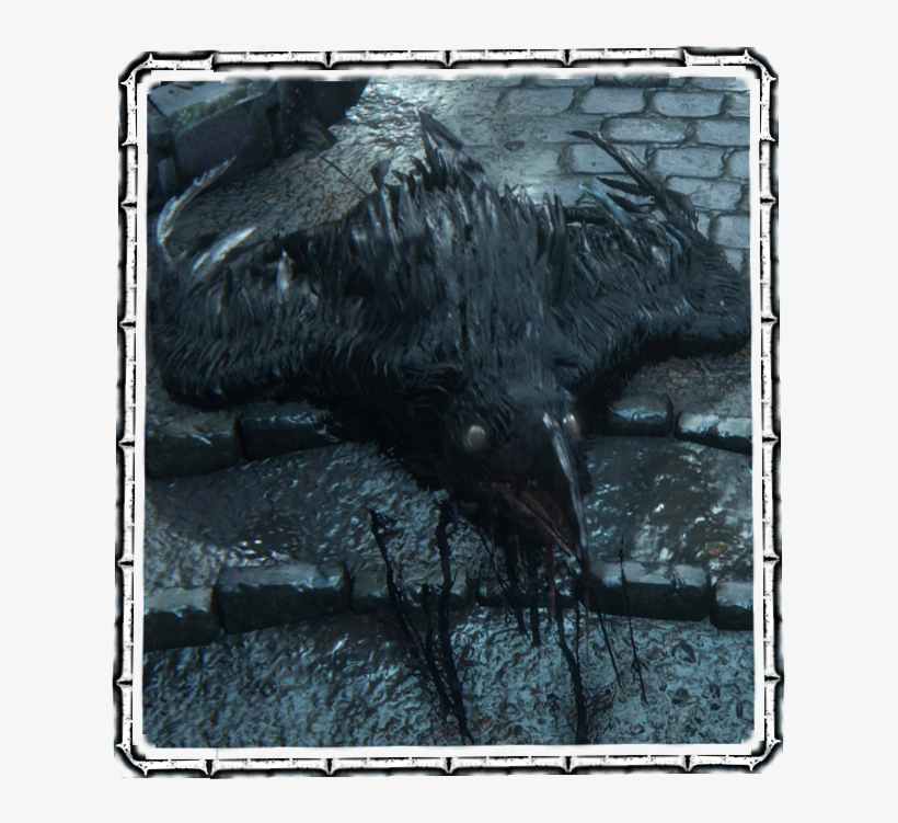 Carrion Crow - Bloodborne Crows, transparent png #9490552