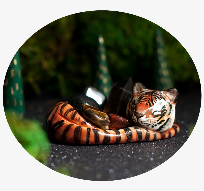 Tiger Crystal Vessel For The Root Chakra, transparent png #9491038