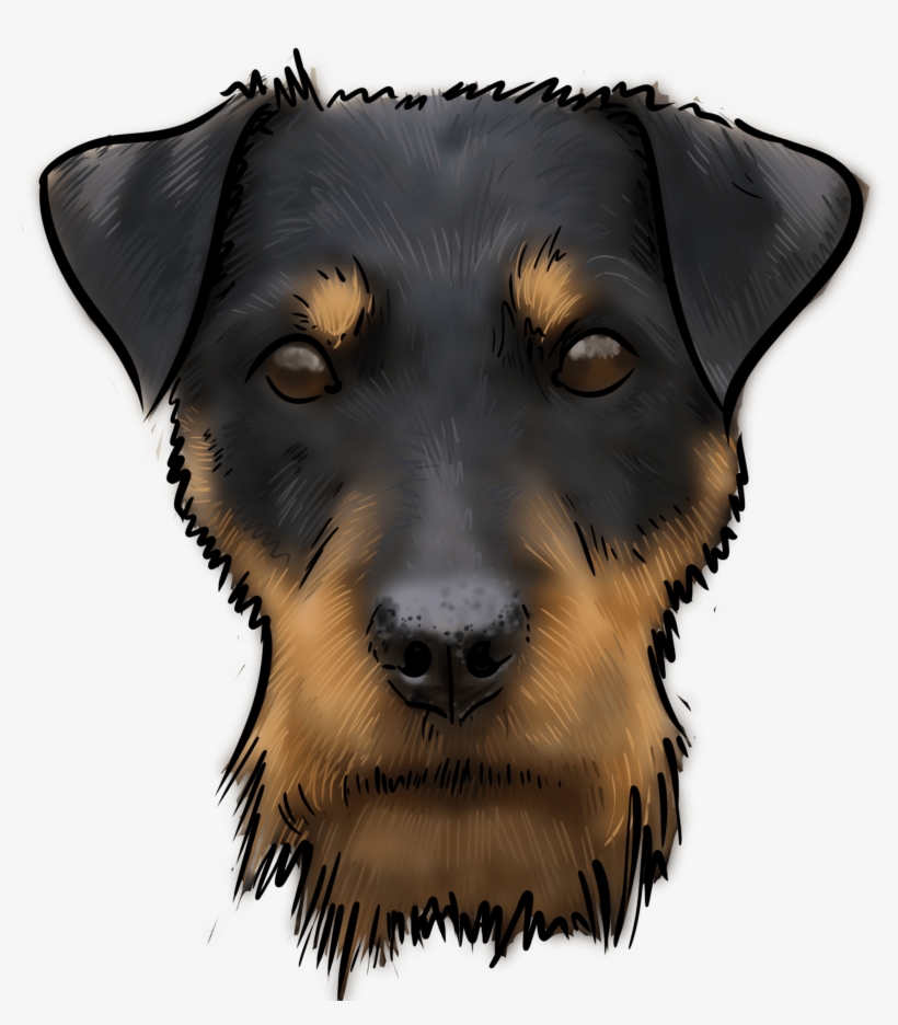 Is A Relatively New Dog In The Dog World - Companion Dog, transparent png #9491123